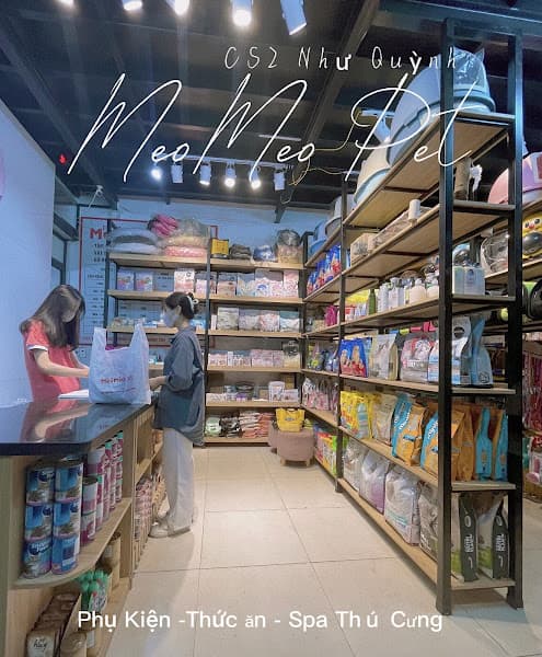 Hình ảnh Như Quỳnh - 4