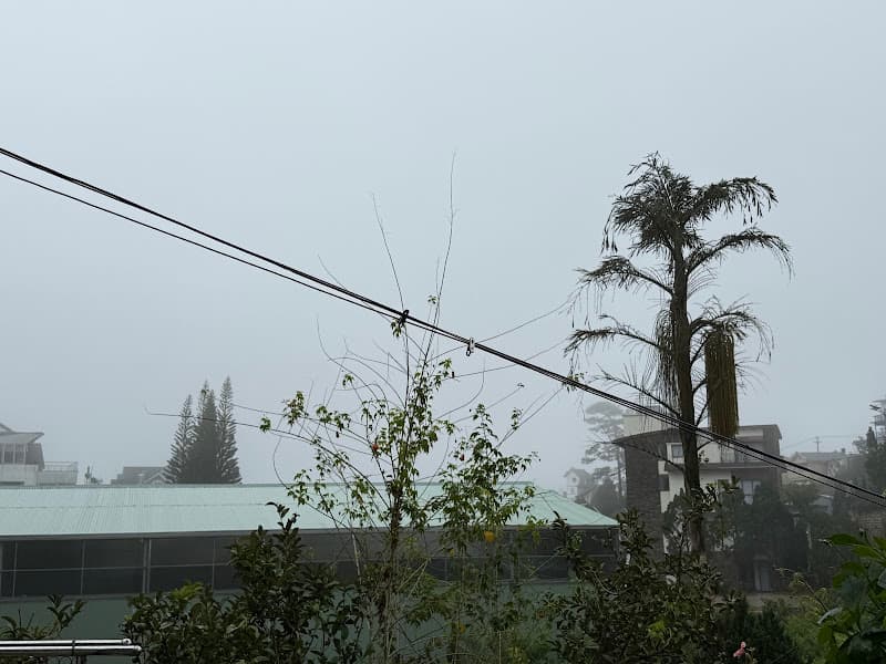 Hình ảnh Lữ Gia Pickleball - 3