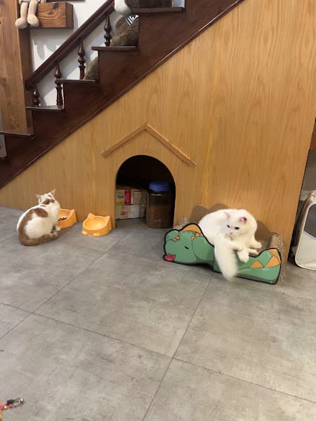 Hình ảnh Nhà Cafe & Matcha - 4