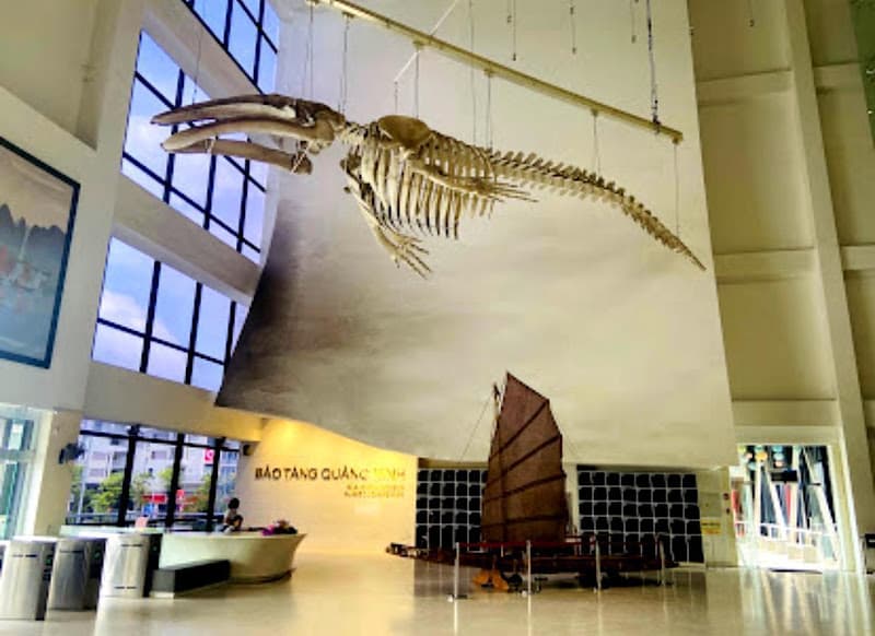 Hình ảnh Bảo tàng Quảng Ninh - 3