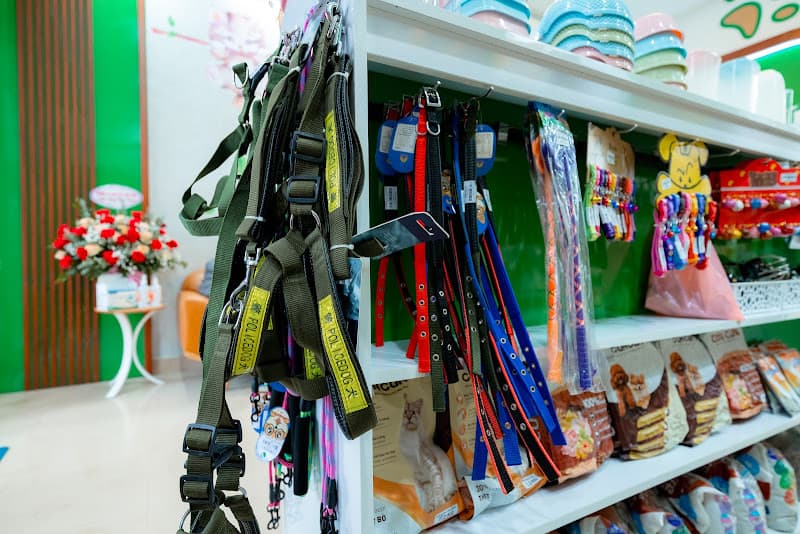 Hình ảnh Bệnh viện Thú Y thành phố Vinh - 3