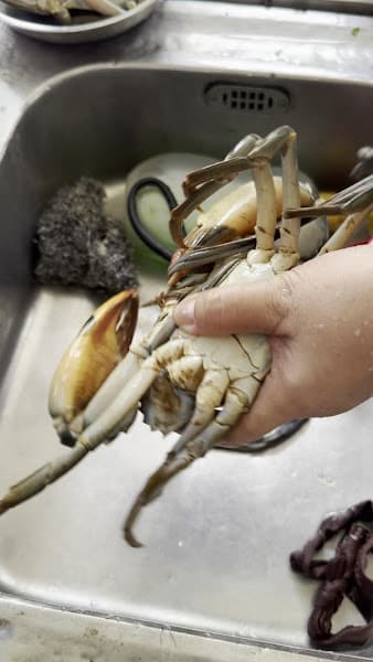 Hình ảnh Vựa Cua Cà Mau A Bi - 3