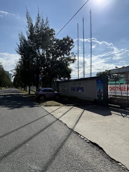 Hình ảnh G4 Pickleball - 4