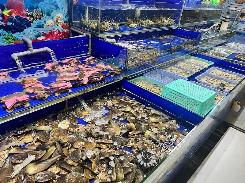 Ảnh bìa Ốc Ngon 37