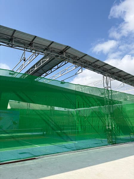 Hình ảnh Tiền Phong Pickleball - 9