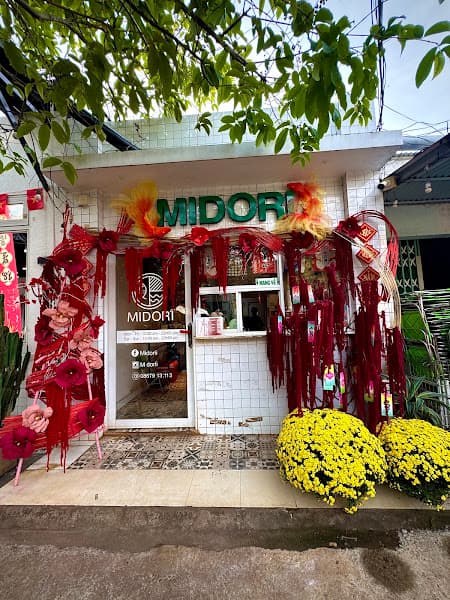 Ảnh bìa MIDORI