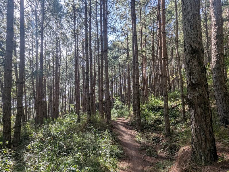 Hình ảnh Đà Lạt Trip - 4