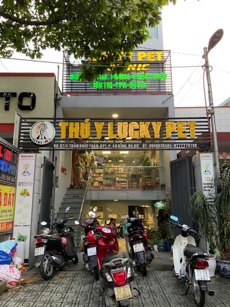 Ảnh bìa Thú Y Lucky Pet