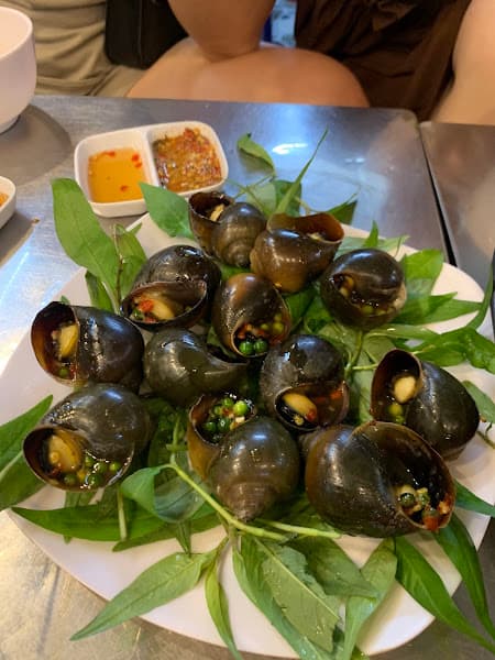 Hình ảnh Ốc Tèo - 2