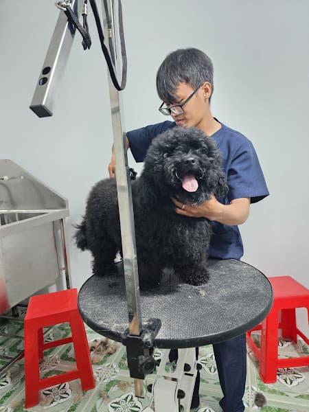 Hình ảnh Hường Thương Pet - 2