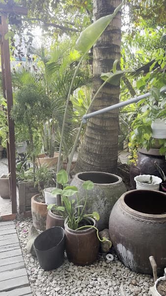 Hình ảnh Vườn Của Lá - 2