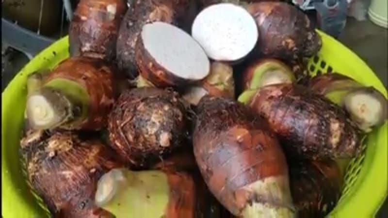 Hình ảnh Trà sữa yến magui vsip 1 - 4