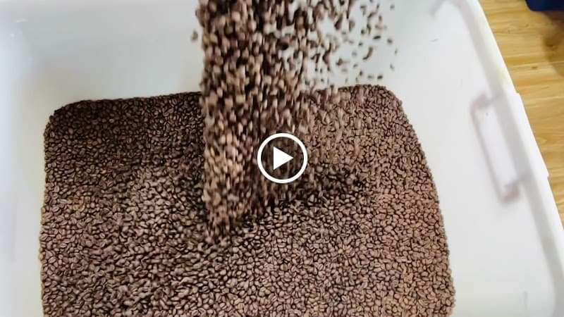 Hình ảnh Latty Coffee Roastery - 6