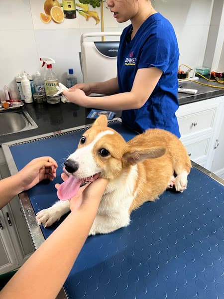 Hình ảnh Bệnh viện thú y EraVet - 4