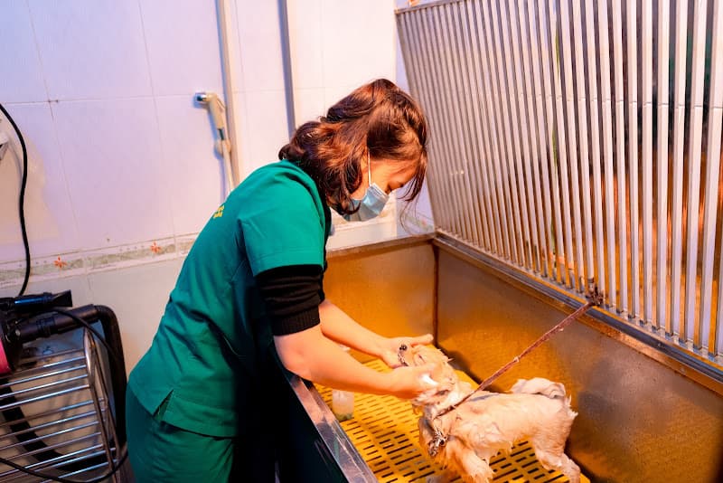 Hình ảnh Bệnh viện Thú Y thành phố Vinh - 4