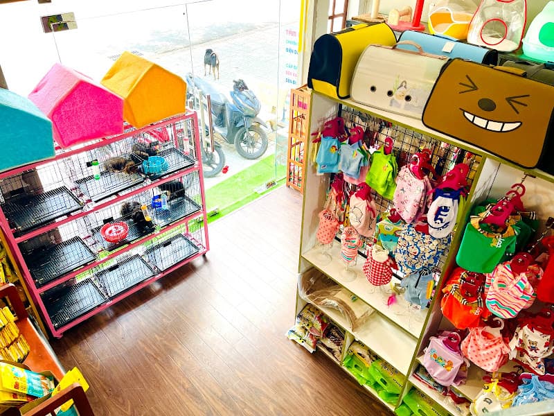 Hình ảnh Béo Spa - Cửa Hàng Chăm Sóc Thú Cưng - 5