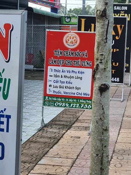 Hình ảnh Gold Pet Lấp Vò - 3