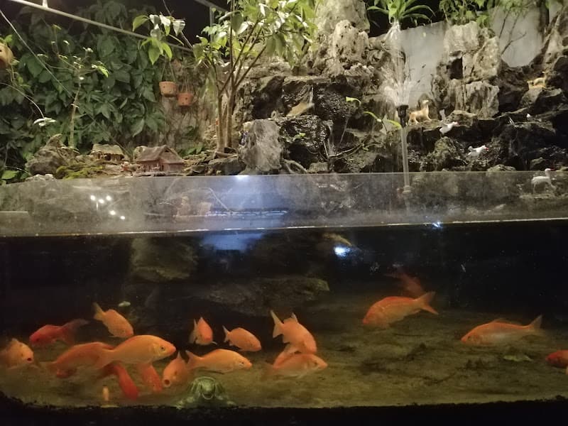 Hình ảnh Cơ sở sản xuất bánh phở Hậu Hường - 4