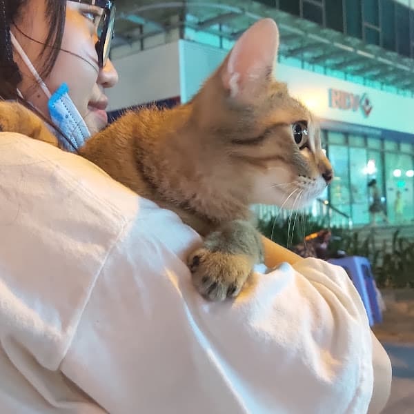 Hình ảnh Bệnh viện thú y Đức Việt - 3