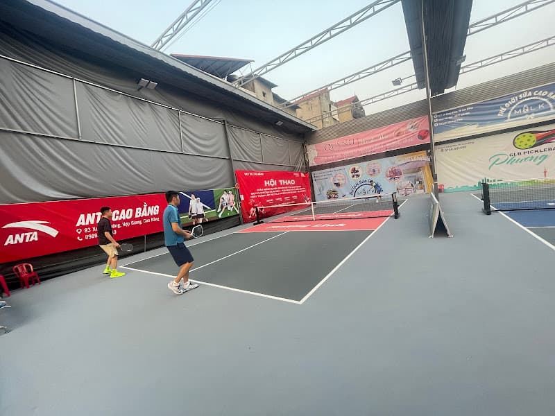 Hình ảnh CLB Pickleball Phương Linh - 4