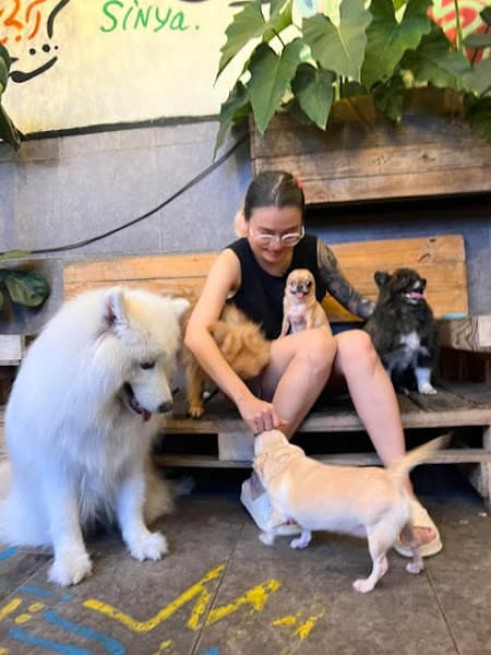 Hình ảnh Nhà trẻ Chó Xương - Khách sạn chó mèo Tân Phú - Bình Tân - 6