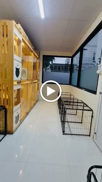Hình ảnh Alpha Pet Hotel - 2
