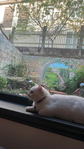 Hình ảnh One&Only Studio Cafe - 5