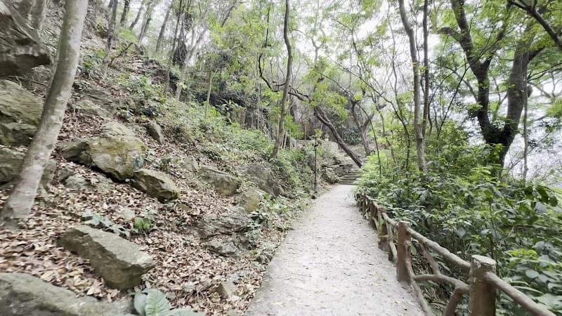 Hình ảnh Động Long Quang - 5