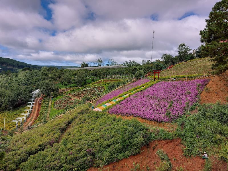 Hình ảnh Đường Hầm Hỏa Xa Đà Lạt - 3