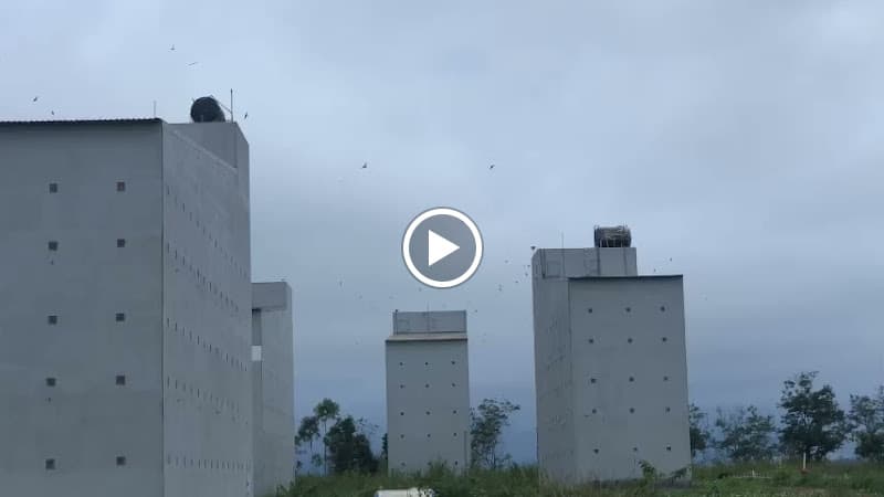 Hình ảnh Yến Sào Yến Hồ - 2