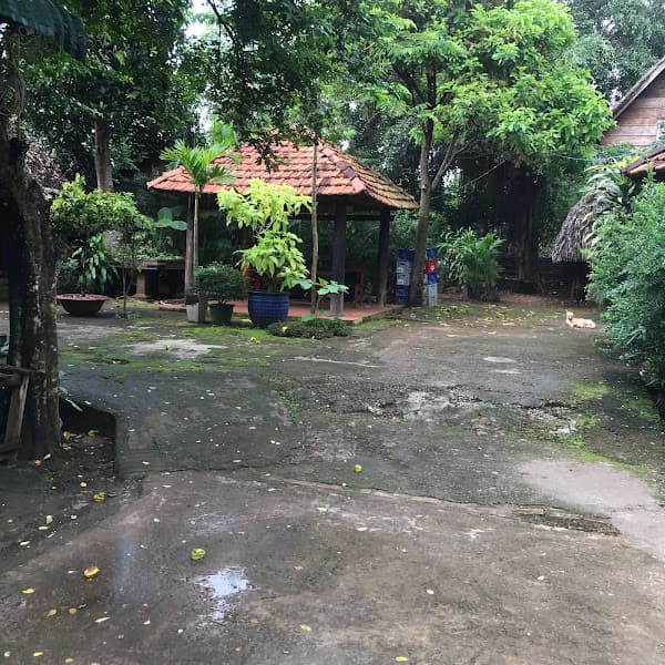 Hình ảnh Quán ăn sân vườn NAM SƠN - 8