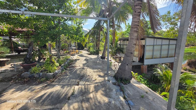 Hình ảnh Homestay An Nhiên - 4