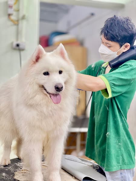 Hình ảnh Spa Thú Cưng KOKOPET - 2