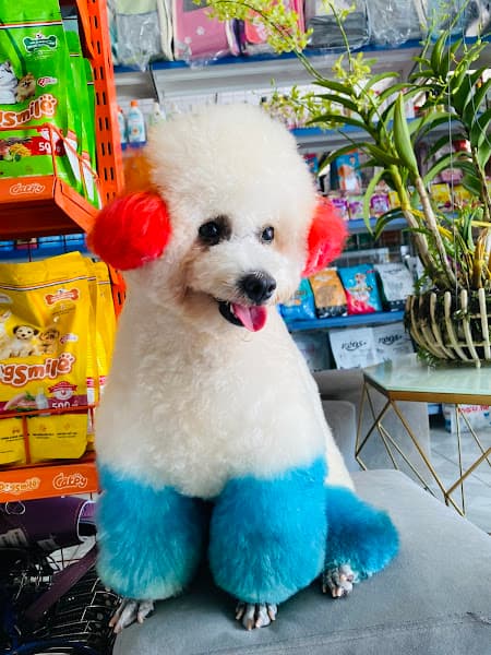 Hình ảnh Phòng Khám Thú Y Xuân Thạnh - 2