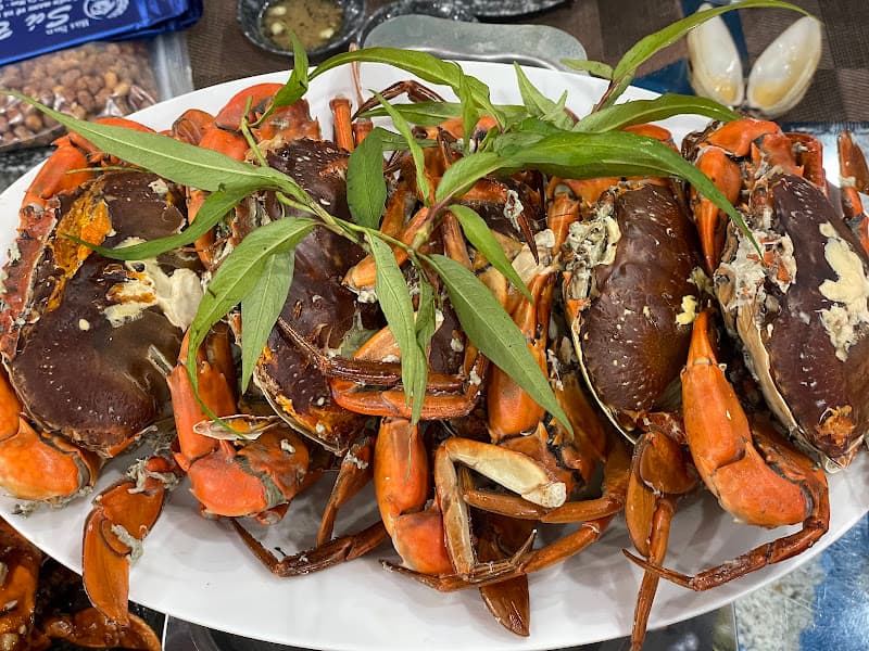Hình ảnh Sú Biển Cà Mau - 2