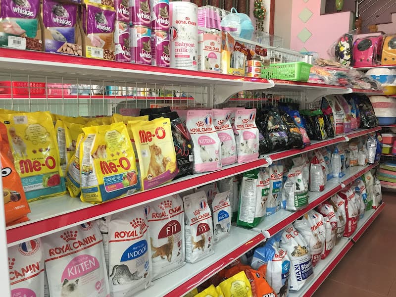 Hình ảnh Nobipet - 5