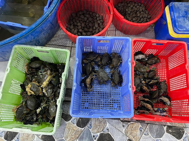 Hình ảnh Hải Sản Biển Cà Mau - 3