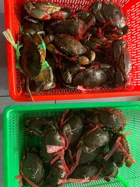 Hình ảnh Vựa Hải Sản Ái Phương - Rạch Giá - 2