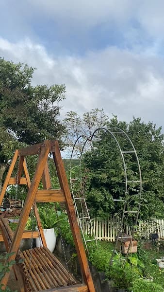 Hình ảnh MƠ coffee - cà phê cắm trại - 3