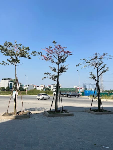 Hình ảnh Khu Đô Thị Lạc Hồng Phúc - 3