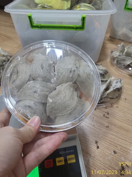 Hình ảnh YẾN SÀO PHÚ HƯNG - 5