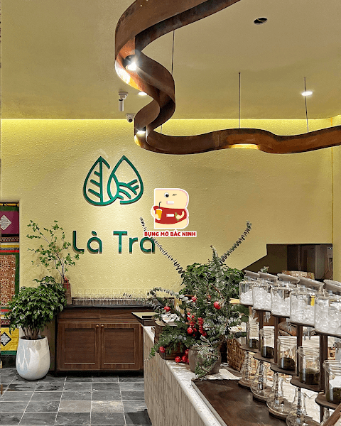 Là Trà Bắc Ninh - Trà Shan Tuyết Cổ Thụ Pha Máy