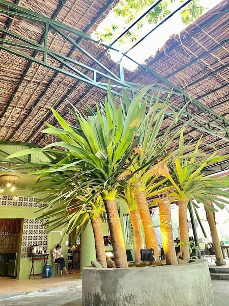 Hình ảnh Thoáng Cafe Sơn Tịnh - Quán cà phê đẹp Quảng Ngãi - 3