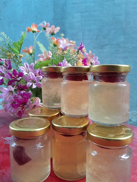 Hình ảnh Yến Sào kiều Kiên Cường - 2