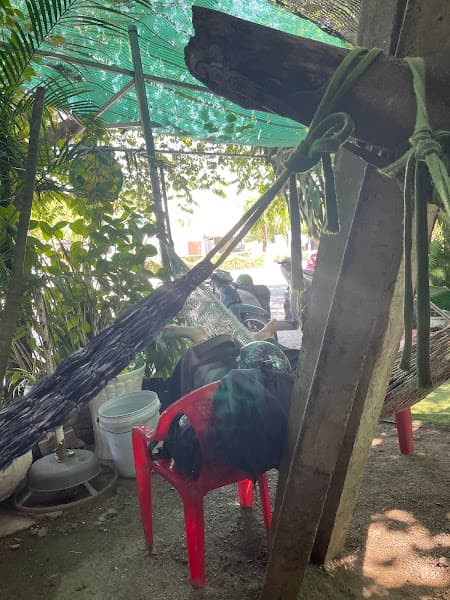 Hình ảnh Cafe VÕNG - 2
