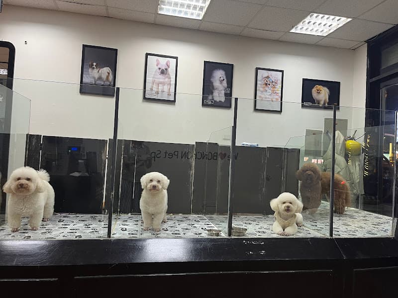 Hình ảnh Bonchon Pet Spa and Hotel - 5