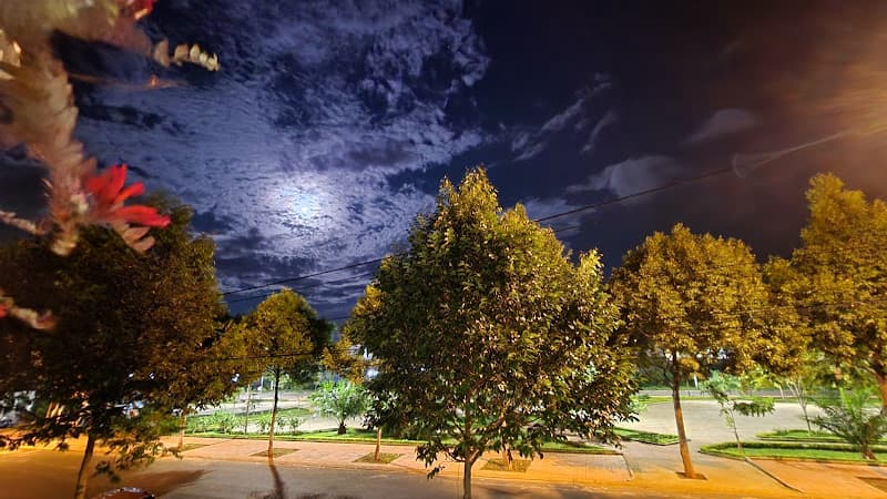 Hình ảnh Thao Van Coffee - 5