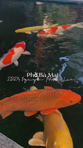 Hình ảnh PHỞ BÀ MAI - 8