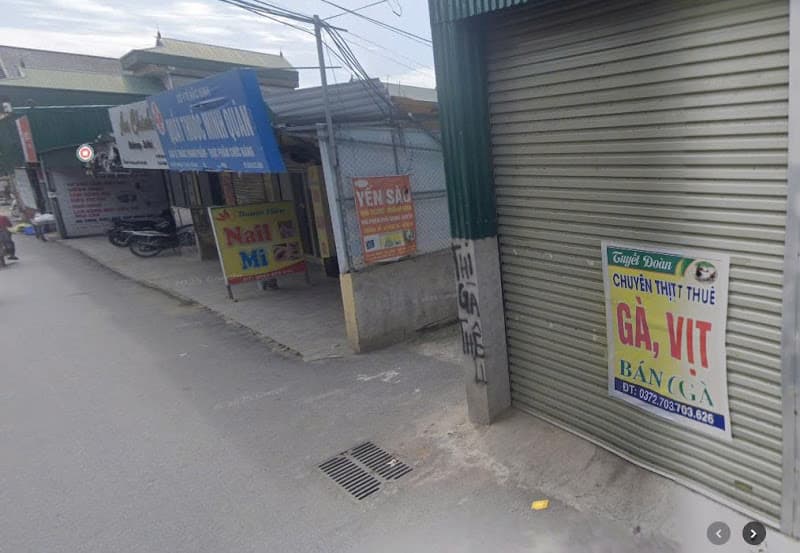 Ảnh bìa Yến Sào Giang Xuyến