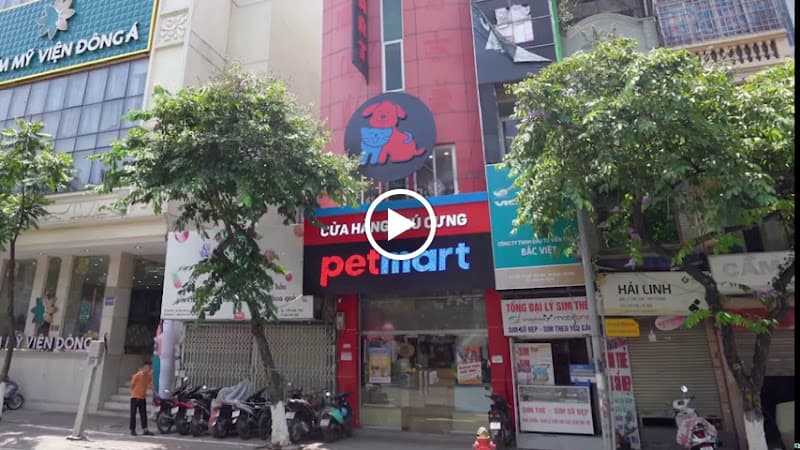 Hình ảnh Pet Hotel - Khách sạn trông giữ chó mèo TP.HCM - 3